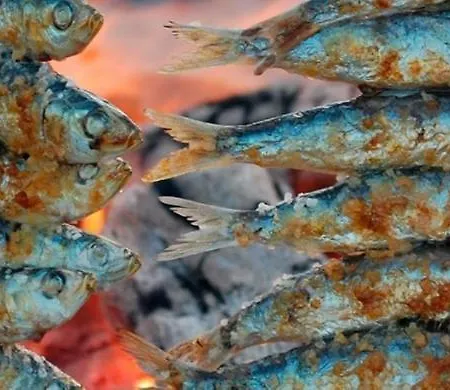 Coruna House Apartment *